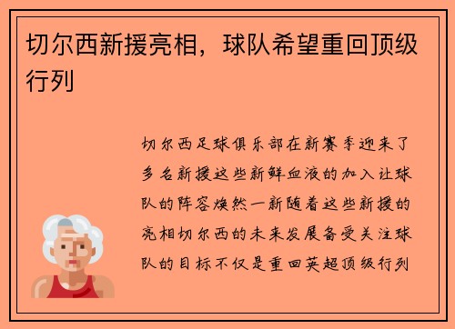 切尔西新援亮相，球队希望重回顶级行列