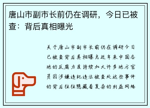 唐山市副市长前仍在调研，今日已被查：背后真相曝光